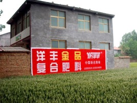 南充如何让墙体广告展现最大化效果