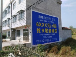 南充墙体广告质量分析