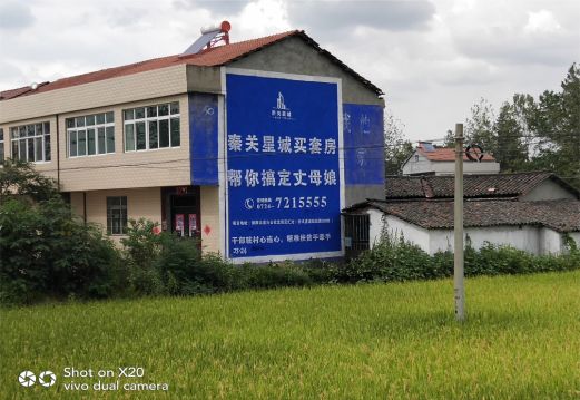 南充决定墙体广告价格的因素有哪些?